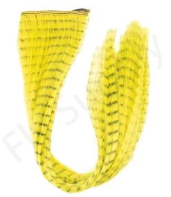 Cascade Grizzly Hair 40CM Long -Fishing Equipment Shop Cascade Grizzly Hair 40CM Long FSTYING GRIHR X dsc02008 bewerkt