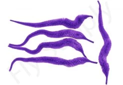 Cascade Mangums Dragon Tails 5pc 20 Cascade Mangums Dragon Tails 5pc -Fishing Equipment Shop Cascade Magnums Dragon Tails 5pc CASC MDT X dsc09725 bewerkt