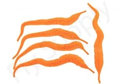 Cascade Mangums Dragon Tails 5pc 26 Cascade Mangums Dragon Tails 5pc -Fishing Equipment Shop Cascade Magnums Dragon Tails 5pc CASC MDT X dsc09732 bewerkt