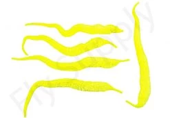 Cascade Mini Dragon Tails 5pc 29 Cascade Mini Dragon Tails 5pc -Fishing Equipment Shop Cascade Mini Dragon Tails 5pc CASC MNDT X dsc09729 bewerkt