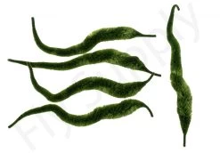 Cascade Mini Dragon Tails 5pc 23 Cascade Mini Dragon Tails 5pc -Fishing Equipment Shop Cascade Mini Dragon Tails 5pc CASC MNDT X olive