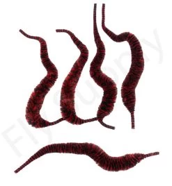 Cascade Variegated Mini Dragon Tails 5pc -Fishing Equipment Shop Cascade Variegated Mini Dragon Tails 5pc CASC MVNDT X dsc09683 bewerkt