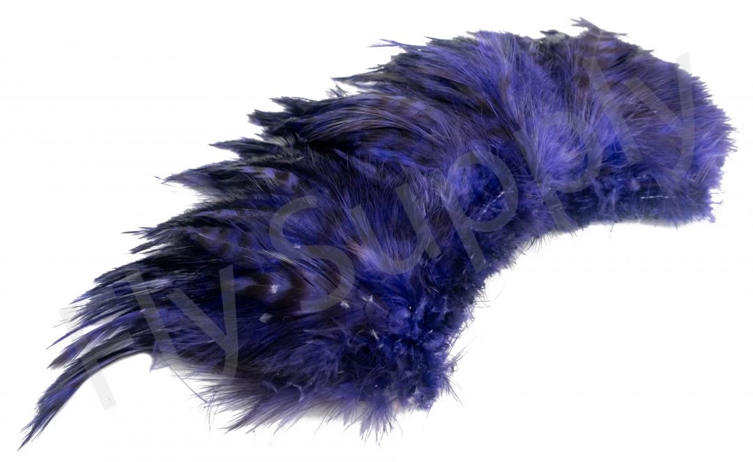 Chinchilla Saddle Neck Grizzly 2 Chinchilla Saddle Neck Grizzly - Image 2