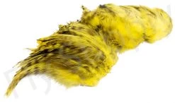 Chinchilla Saddle Neck Grizzly 8 Chinchilla Saddle Neck Grizzly -Fishing Equipment Shop Chinchilla Saddle Neck Grizzly FSTYING CSNG X dsc01833 bewerkt wm