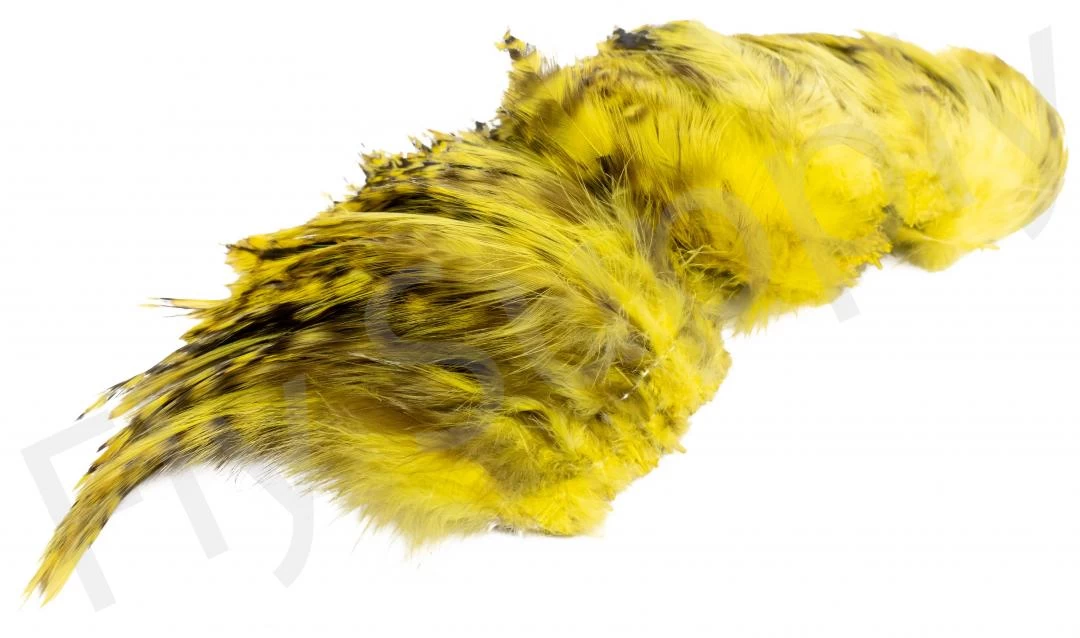 Chinchilla Saddle Neck Grizzly 4 Chinchilla Saddle Neck Grizzly - Image 4