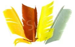 Condor Substitute Feather