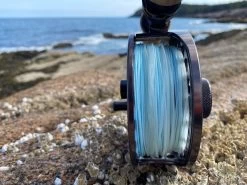 Cortland Compact Intermediate Blitz Fly Line -Fishing Equipment Shop Cortland Compact intermediate Blitz Fly Line D340020 XX img 4376 1200x