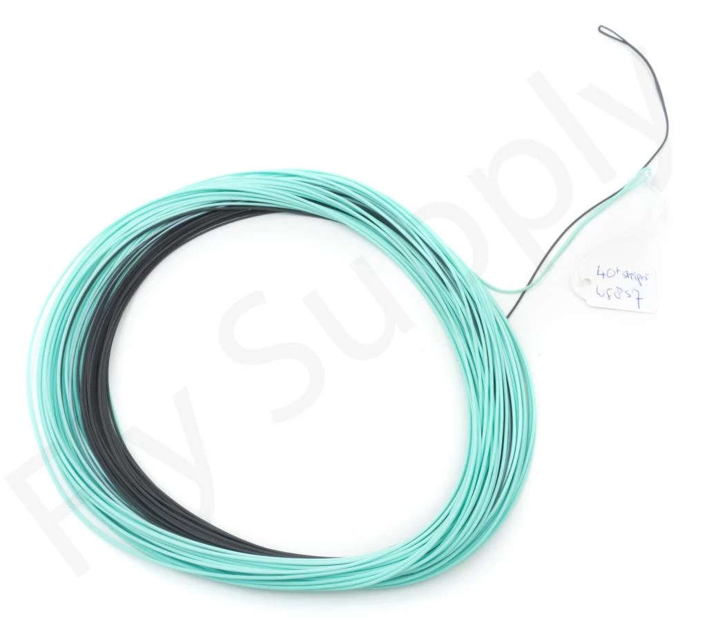 DEMO Fly Lines – Vision – RIO – Airflo – Orvis – Casting Demo Lines 5 DEMO Fly Lines – Vision – RIO – Airflo – Orvis – Casting Demo Lines - Image 5