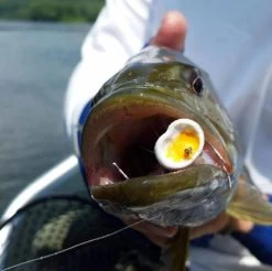 Double Barrel Poppers -Fishing Equipment Shop Double Barrel Poppers DOBARRELPOP XXX double barrel popper