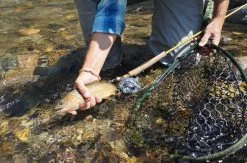 Douglas Upstream Plus Fly Rod 18 Douglas Upstream Plus Fly Rod -Fishing Equipment Shop Douglas Upstream Plus Fly Rod NFD615 XXX 2schermafbeelding 2023 01 11 om 11.47