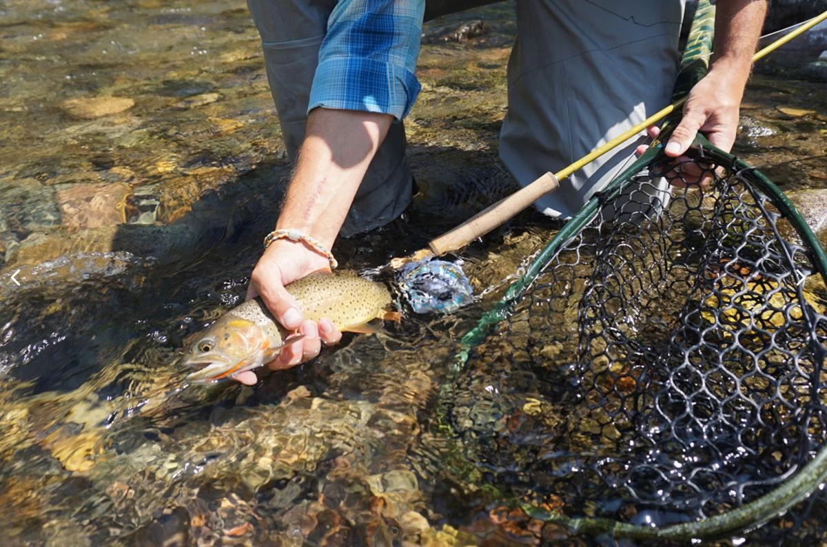 Douglas Upstream Plus Fly Rod 8 Douglas Upstream Plus Fly Rod - Image 8