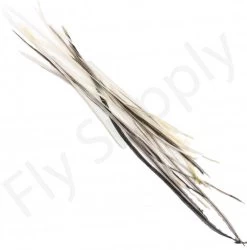 Dry Fly Saddles Select Short Feathers 16 Dry Fly Saddles Select Short Feathers -Fishing Equipment Shop Dry Fly Saddles Select Short Feathers DFSSSHORT XX dry fly saddles select short feathers dfssshort xx dsc07372 bewerkt