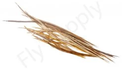 Dry Fly Saddles Select Short Feathers 14 Dry Fly Saddles Select Short Feathers -Fishing Equipment Shop Dry Fly Saddles Select Short Feathers DFSSSHORT XX dsc00055 bewerkt