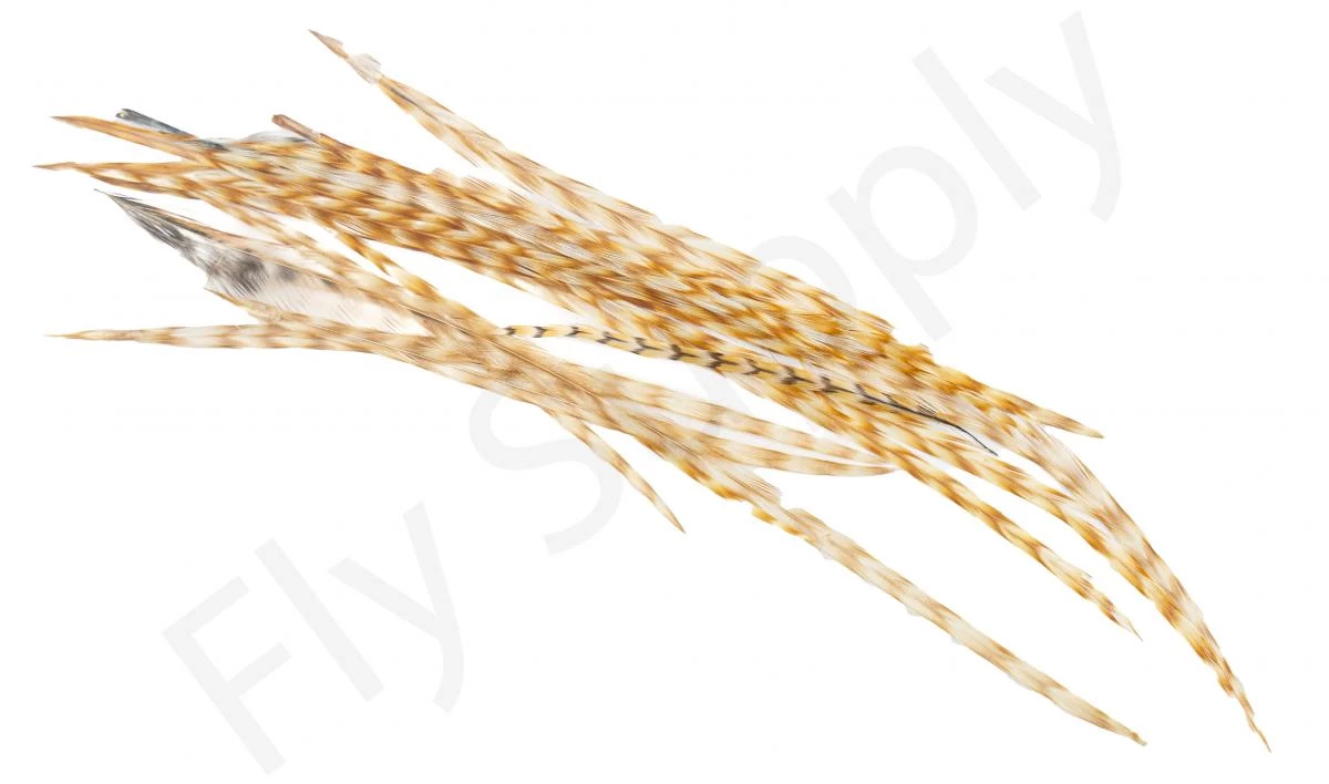 Dry Fly Saddles Select Short Feathers 3 Dry Fly Saddles Select Short Feathers - Image 3