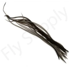Dry Fly Saddles Select Short Feathers 21 Dry Fly Saddles Select Short Feathers -Fishing Equipment Shop Dry Fly Saddles Select Short Feathers DFSSSHORT XX dsc00959 bewerkt