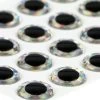 3D Epoxy Eyes Holographic Silver 20pc