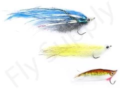 Euro Flies Predator Complete Set #10 – 9ft 9 Euro Flies Predator Complete Set #10 – 9ft -Fishing Equipment Shop Euro Flies Predator Complete Set 10 9ft EF PRESET 10 90ft vis 1 2