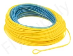 Euro Flies Premium Pike Fly Line -Fishing Equipment Shop Euro Flies Premium Pike Fly Line EF PIKEPREMWF XXX dsc06493