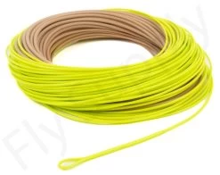 Euro Flies Tropical Power Taper Floating WF Fly Line -Fishing Equipment Shop Euro Flies Tropical Power Taper Floating WF Fly Line EF TROPPOWTAP XXX dsc06604 2
