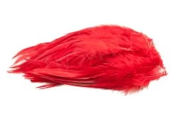 Strung Saddle Hackle -Fishing Equipment Shop FS 598