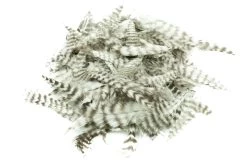 Grizzly Marabou -Fishing Equipment Shop FS 651