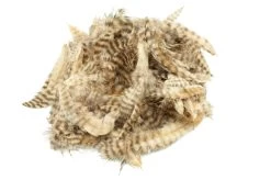 Grizzly Marabou -Fishing Equipment Shop FS 656