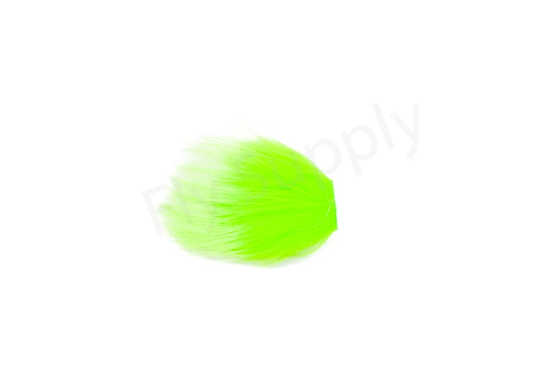 Tempel Dog 12 Tempel Dog - Image 12