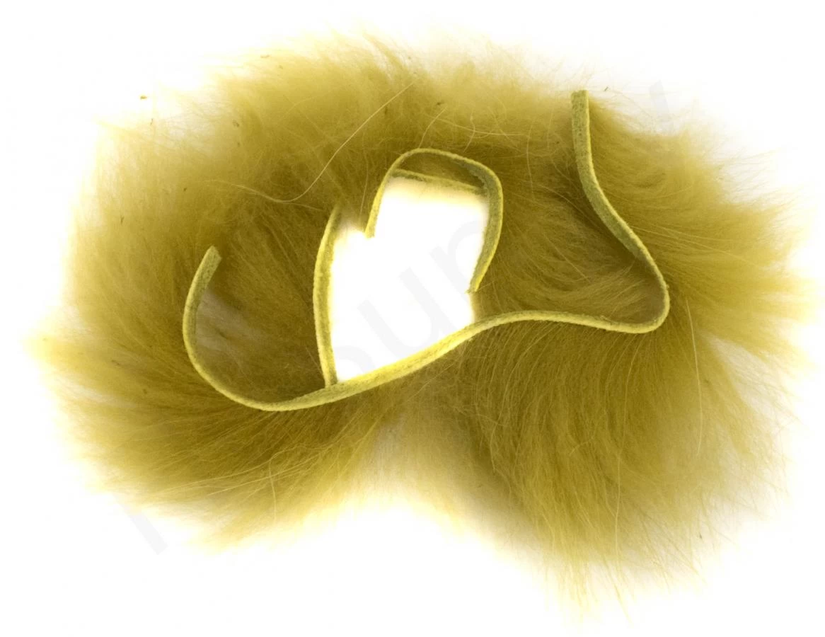 Finn Raccoon Zonker 8 Finn Raccoon Zonker - Image 8