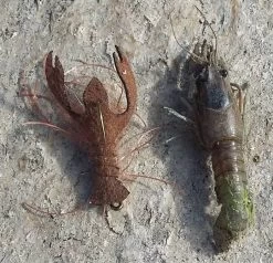 Fish Skull Craw Body -Fishing Equipment Shop Fish Skull Craw Body FISHSKULL CRAWBODY XXX fishskull crawbody 5