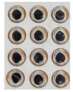 Fish Skull Living Eyes 21 Fish Skull Living Eyes -Fishing Equipment Shop Fish Skull Living Eyes 15mm FISHSKULL EYES XX dsc03142 bewerkt wm