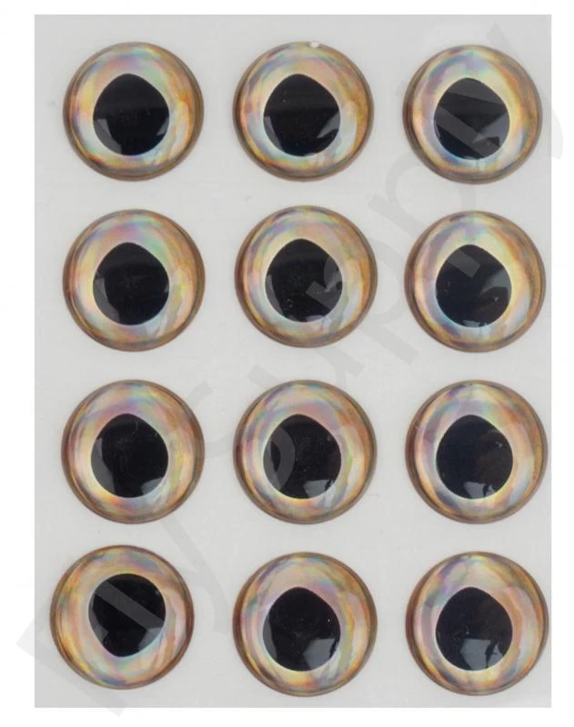 Fish Skull Living Eyes 9 Fish Skull Living Eyes - Image 9