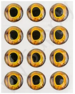 Fish Skull Living Eyes 15 Fish Skull Living Eyes -Fishing Equipment Shop Fish Skull Living Eyes 15mm FISHSKULL EYES XX dsc03149 bewerkt wm