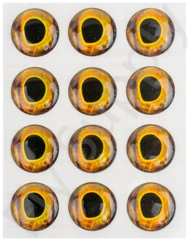 Fish Skull Living Eyes 3 Fish Skull Living Eyes - Image 3