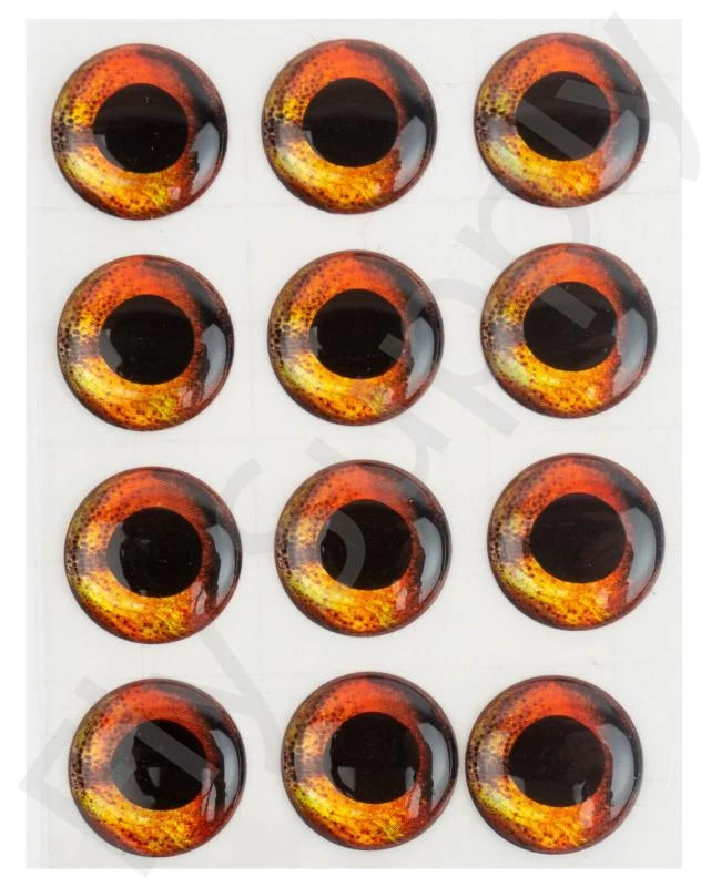 Fish Skull Living Eyes 5 Fish Skull Living Eyes - Image 5