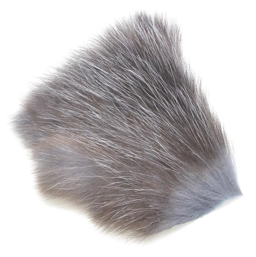 FutureFly American Opossum 18 FutureFly American Opossum - Image 18