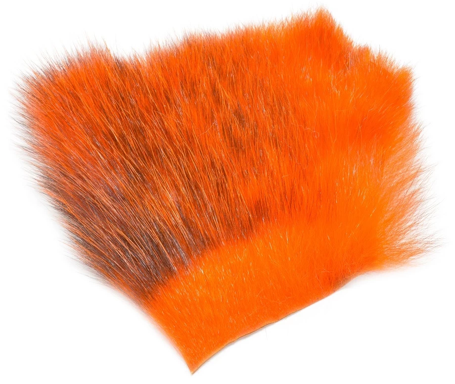 FutureFly American Opossum 10 FutureFly American Opossum - Image 10