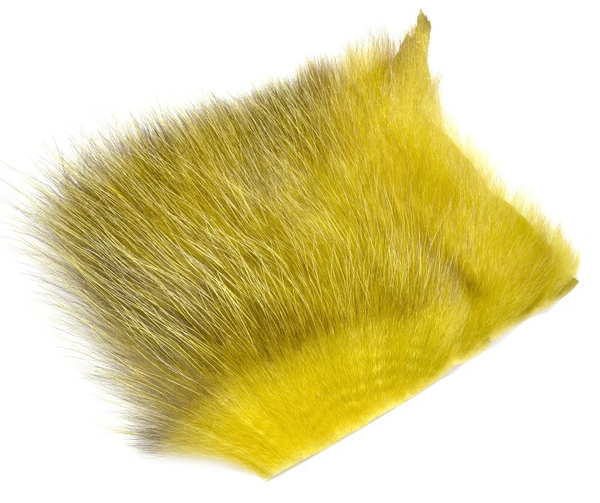 FutureFly American Opossum 2 FutureFly American Opossum - Image 2