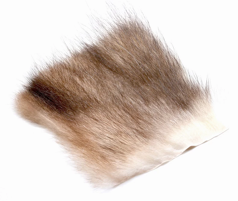 FutureFly American Opossum 12 FutureFly American Opossum - Image 12