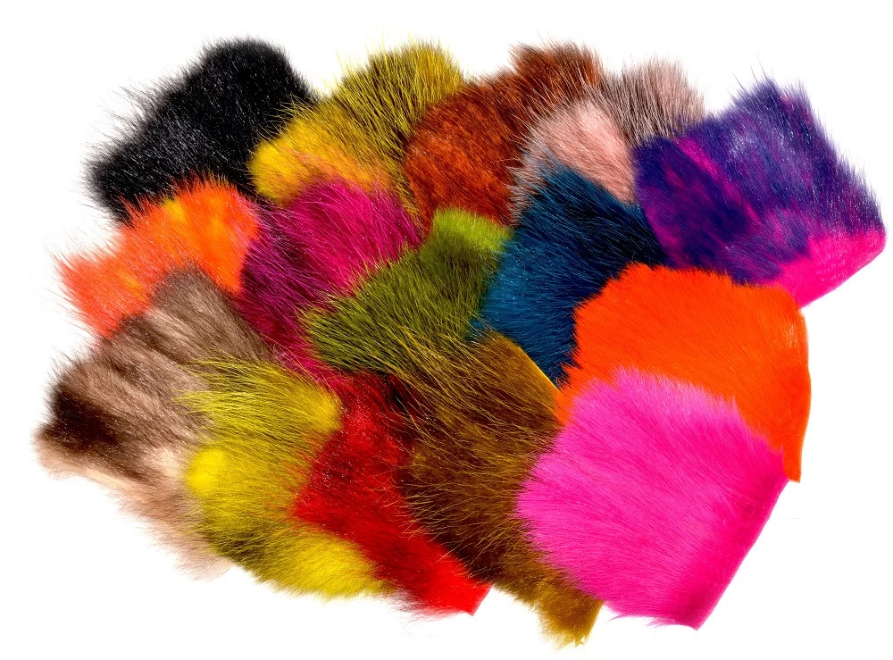 FutureFly American Opossum 1 FutureFly American Opossum