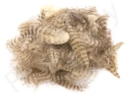 Grizzly Marabou -Fishing Equipment Shop Grizzly marabou 40 62XXX dsc01709