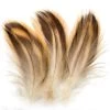 Mallard Hen Breast Feathers Natural