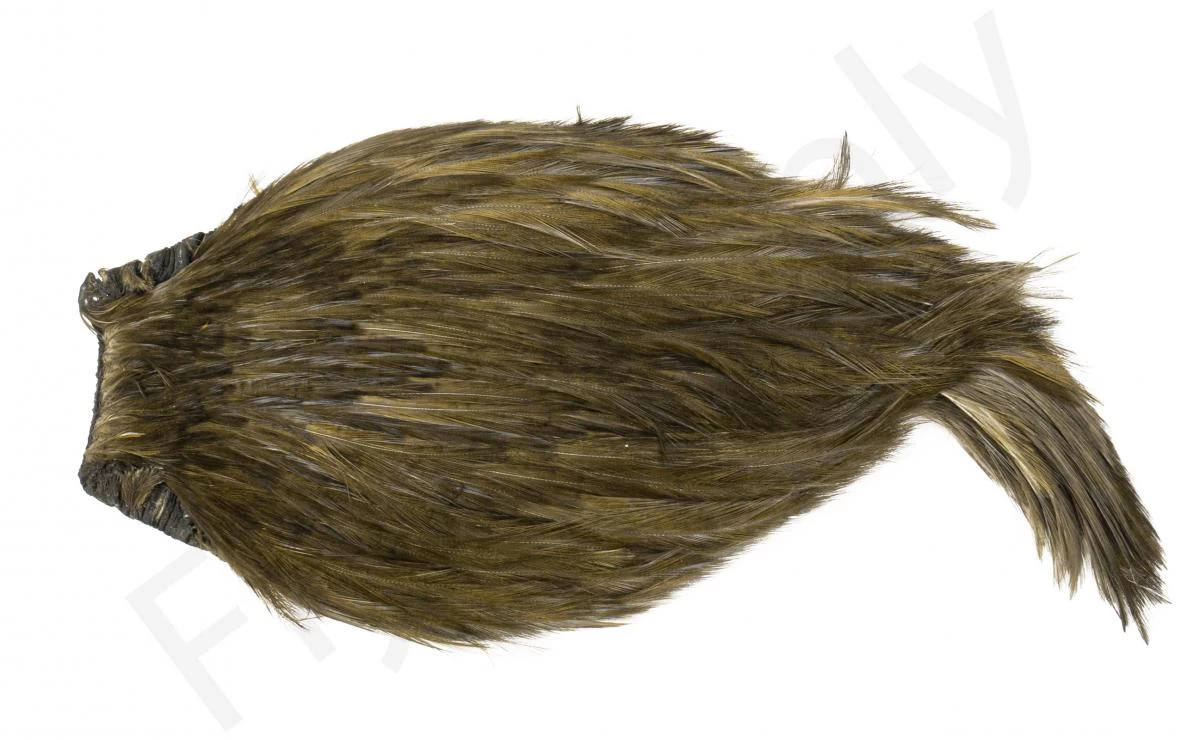 Indian Cock Necks Grade AA Dyed 3 Indian Cock Necks Grade AA Dyed - Image 3