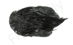 Indian Cock Necks Grade AA Dyed 7 Indian Cock Necks Grade AA Dyed -Fishing Equipment Shop Indian Cock necks grade AA dyed 40 28XXX dsc09373