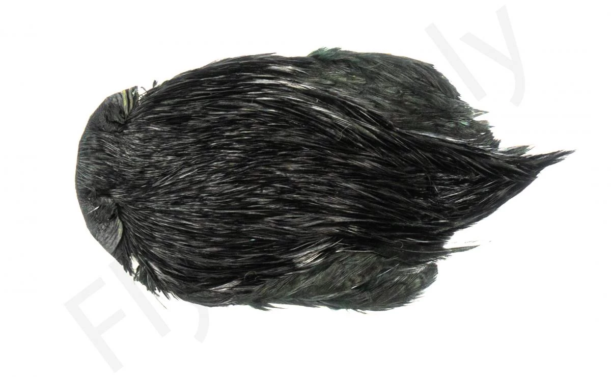 Indian Cock Necks Grade AA Dyed 4 Indian Cock Necks Grade AA Dyed - Image 4