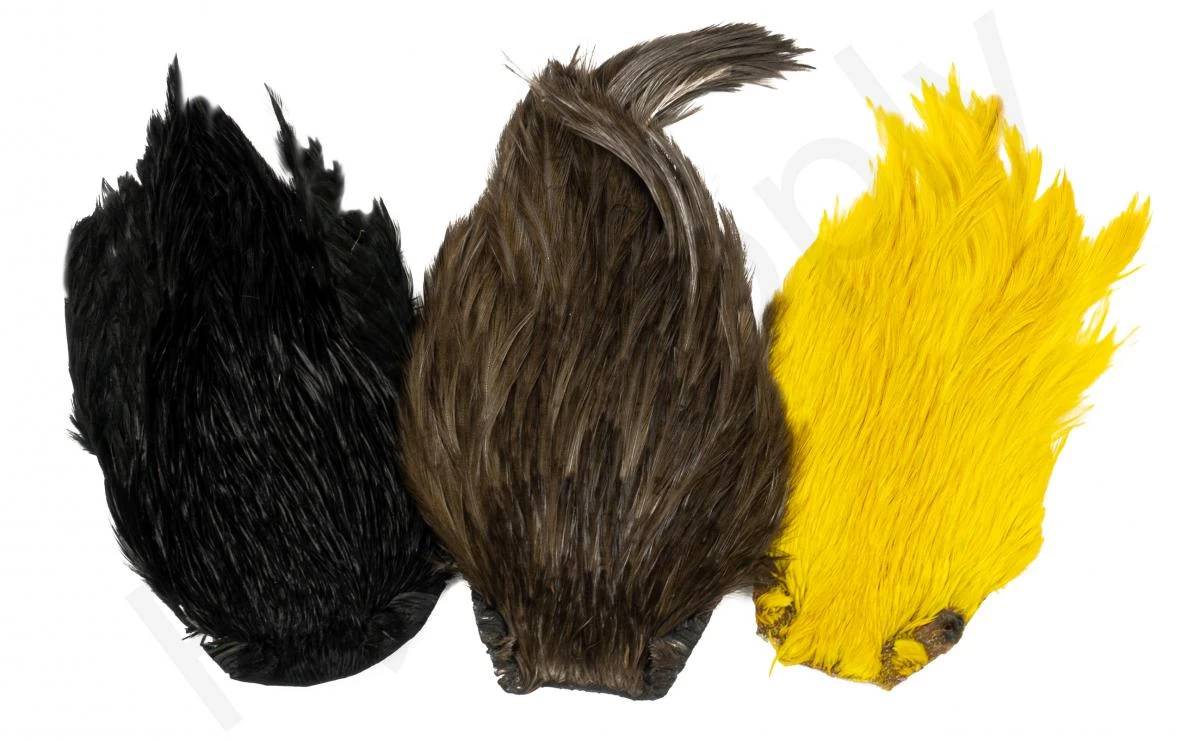 Indian Cock Necks Grade AA Dyed 1 Indian Cock Necks Grade AA Dyed