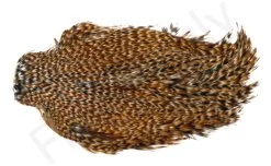 Indian Cock Necks Grade AA Natural 4 Indian Cock Necks Grade AA Natural -Fishing Equipment Shop Indian Cock necks grade AA natural 40 284XX dsc09366 bewerkt