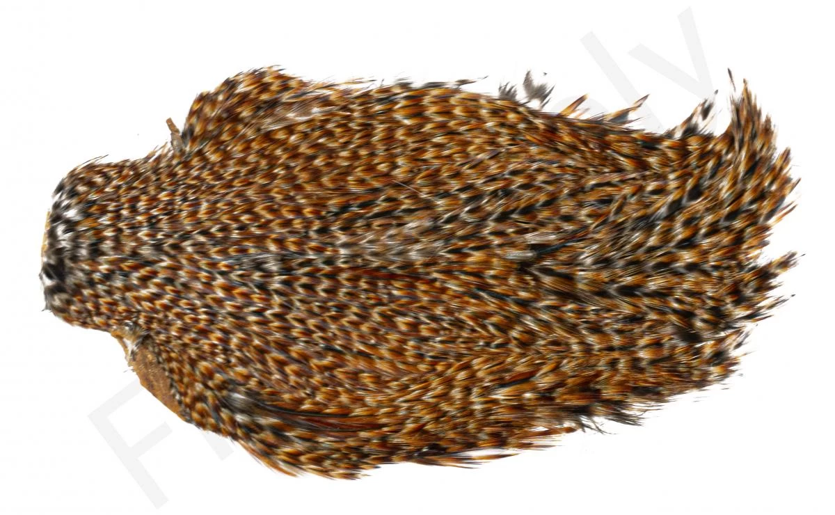 Indian Cock Necks Grade AA Natural 2 Indian Cock Necks Grade AA Natural - Image 2