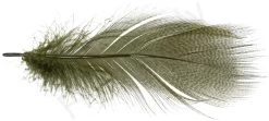 Mallard Barred Flank Large Select Feathers 12pc -Fishing Equipment Shop Mallard Barred Flank Large Select Feathers 12pc MBS XXX dsc04843 bewerkt