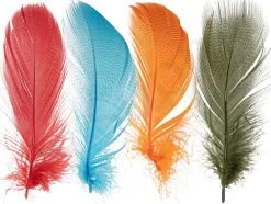 Mallard Barred Flank Large Select Feathers 12pc