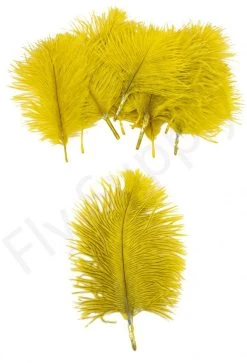 Mini Ostrich Marabou Plumes 15 Mini Ostrich Marabou Plumes -Fishing Equipment Shop Mini Ostrich Marabou plumes 40 83XXX dsc09497 bewerkt 1